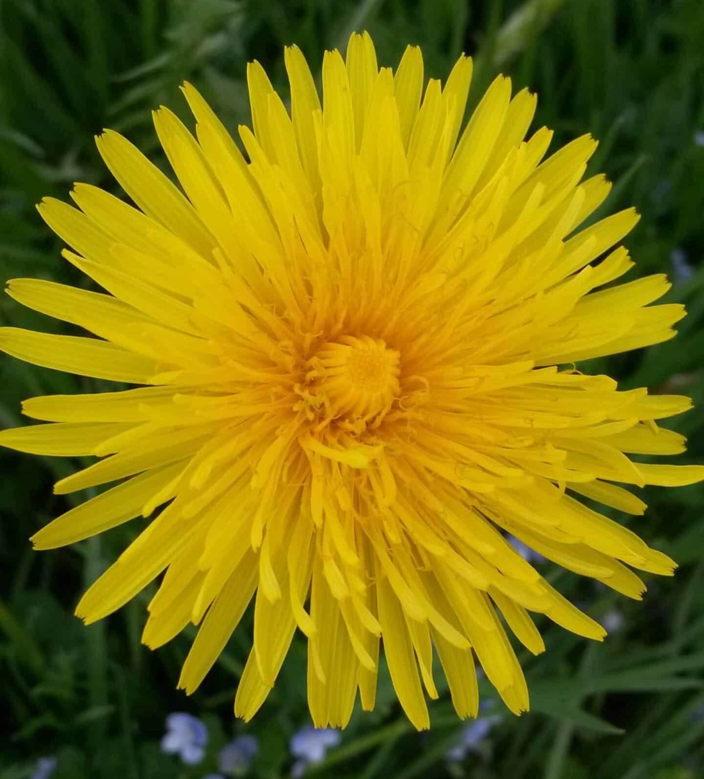 Abendspinnereien, Märchen erzählt für Erwachsene
